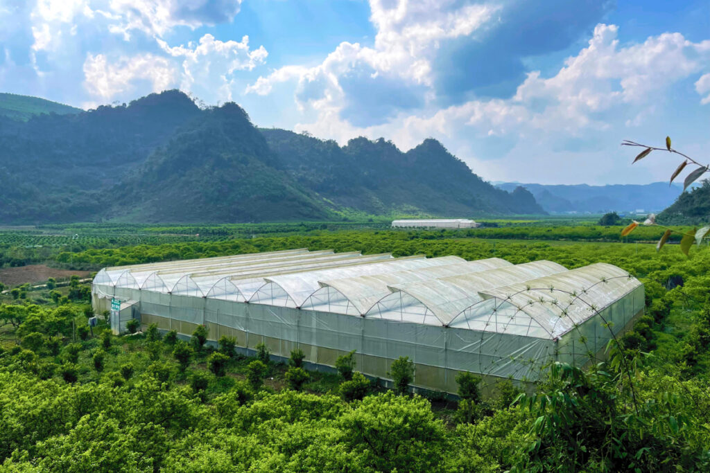 Cómo la agricultura inteligente transformó la vida de un joven agriculto