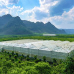 Cómo la agricultura inteligente transformó la vida de un joven agriculto