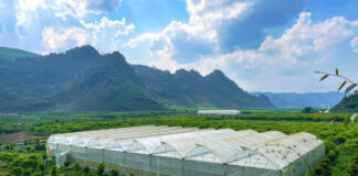 Cómo la agricultura inteligente transformó la vida de un joven agriculto
