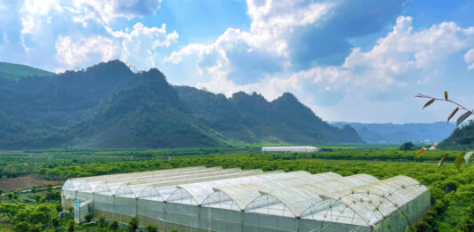 Cómo la agricultura inteligente transformó la vida de un joven agriculto