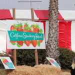 Festival de la Fresa de California 2025 Un fin de semana dulce de comida, diversión y familia en Ventura