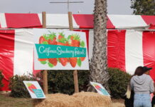 Festival de la Fresa de California 2025 Un fin de semana dulce de comida, diversión y familia en Ventura