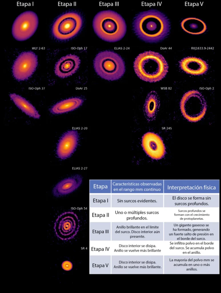 Un modelo argentino confirma que los anillos de HL Tau son huellas de planetas en formación