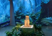 Mayas ceiba y cosmos la cultura maya deslumbra en China con una exposición única