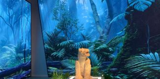 Mayas ceiba y cosmos la cultura maya deslumbra en China con una exposición única
