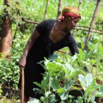 Cómo la agricultura sostenible transformó una tierra estéril en una granja próspera