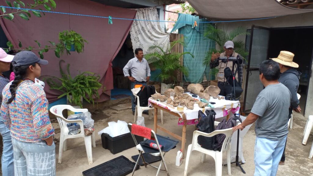 Hallazgo de gonfoterio en Guerrero revela presencia de megafauna en el Pleistoceno