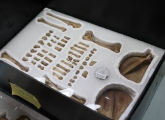 El hallazgo que revela el esplendor mexica 19 mil tesoros ocultos bajo el Templo Mayor