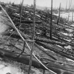 El misterio del evento de Tunguska: la explosión que arrasó Siberia sin dejar cráter