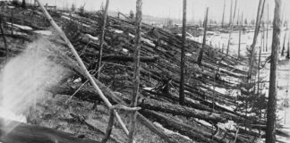 El misterio del evento de Tunguska: la explosión que arrasó Siberia sin dejar cráter