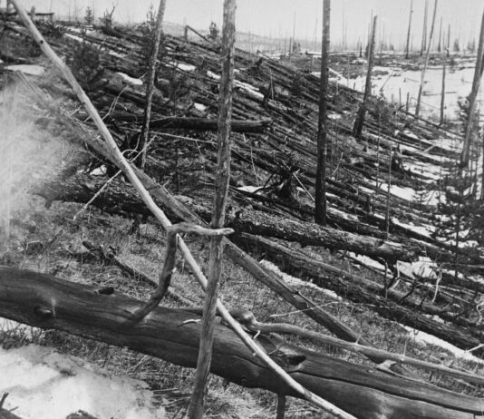 El misterio del evento de Tunguska: la explosión que arrasó Siberia sin dejar cráter