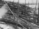 El misterio del evento de Tunguska: la explosión que arrasó Siberia sin dejar cráter