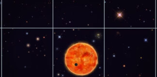 Más de 200 exoplanetas podrían ser más grandes de lo que creíamos, según estudio de UC Irvine