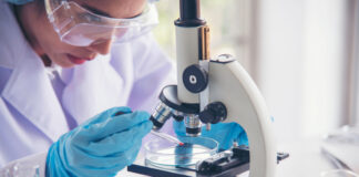 Nuevo fármaco bloquea el crecimiento de vasos sanguíneos en piel y tumores, según estudio de UC Irvine