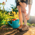 Por qué aumentan los mosquitos con el calor y cómo protegerte
