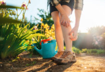 Por qué aumentan los mosquitos con el calor y cómo protegerte