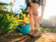Por qué aumentan los mosquitos con el calor y cómo protegerte
