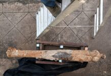 Descubren dos cañones del siglo XVIII bajo las calles de Veracruz