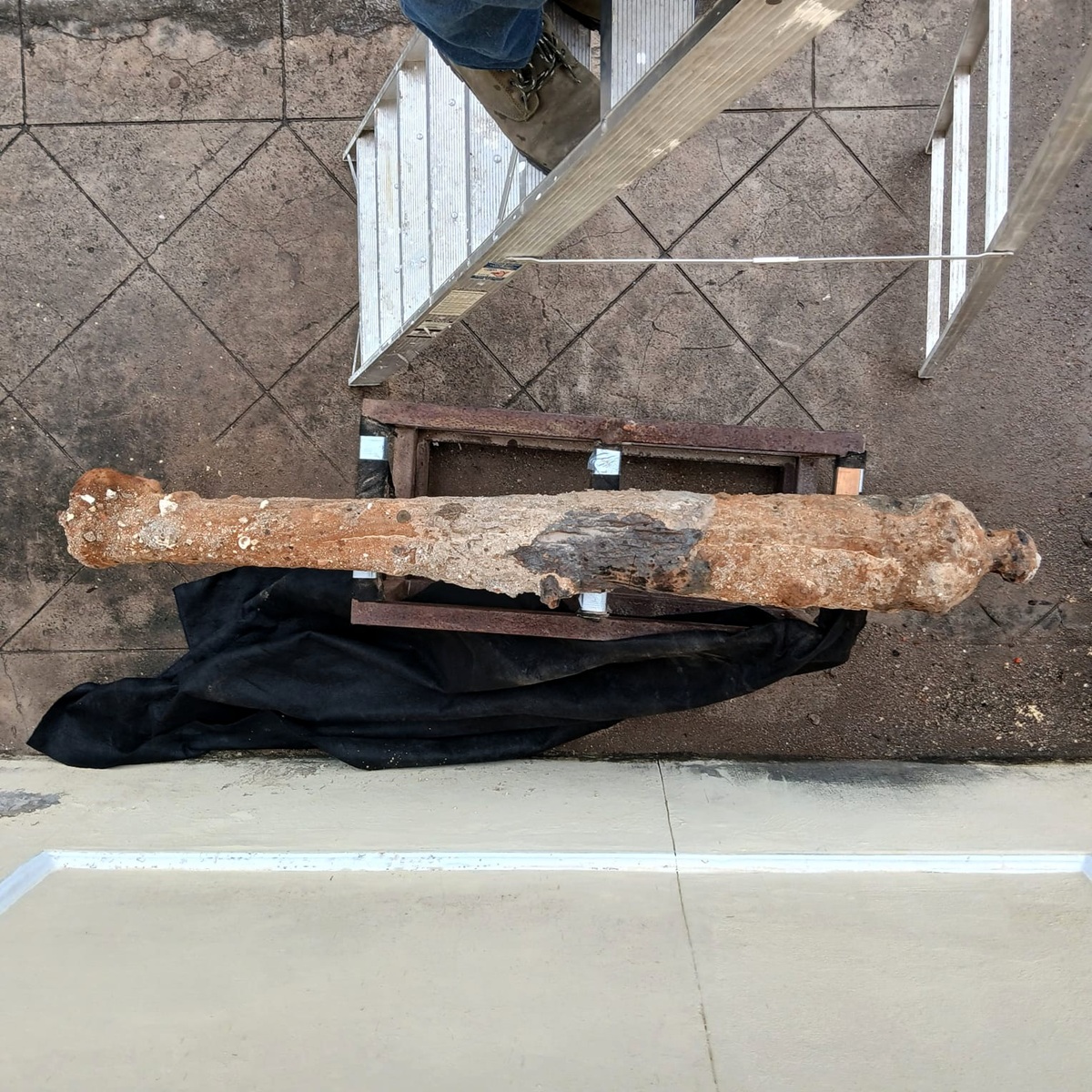 Descubren dos cañones del siglo XVIII bajo las calles de Veracruz 5 Descubren dos cañones del siglo XVIII bajo las calles de Veracruz