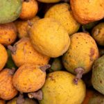 Madd de Casamance tradición, sostenibilidad y prosperidad para las comunidades rurales