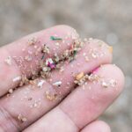 Microplásticos y nanoplásticos: ¿Qué son y cómo afectan tu salud?