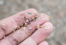 Microplásticos y nanoplásticos: ¿Qué son y cómo afectan tu salud?