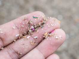 Microplásticos y nanoplásticos: ¿Qué son y cómo afectan tu salud?
