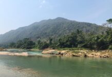 Tras siglos de silencio, Sak-Bahlán resurge de la selva chiapanec