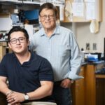 UC Irvine descubre terapia con suplementos naturales para combatir el Alzheimer