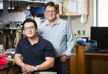 UC Irvine descubre terapia con suplementos naturales para combatir el Alzheimer