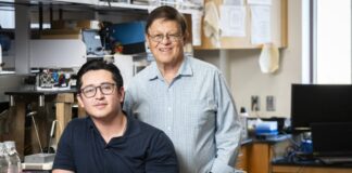 UC Irvine descubre terapia con suplementos naturales para combatir el Alzheimer