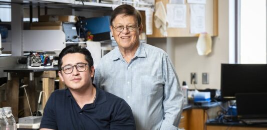 UC Irvine descubre terapia con suplementos naturales para combatir el Alzheimer