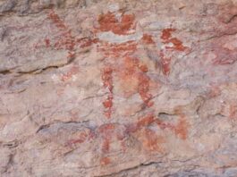 Autentifican pinturas rupestres en Tehuacán legado milenario que impulsa turismo y cultura