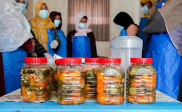 Conservas con propósito- mujeres rurales cambian su destino desde la cocina