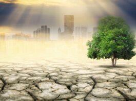 Contaminación del aire y cambio climático en 2024 alerta mundial según la OMM