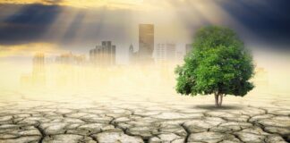 Contaminación del aire y cambio climático en 2024 alerta mundial según la OMM