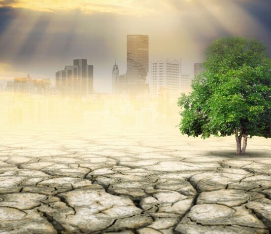 Contaminación del aire y cambio climático en 2024 alerta mundial según la OMM