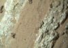 Descubren posible rastro de vida en Marte con muestra del rover Perseverance