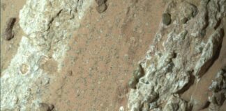 Descubren posible rastro de vida en Marte con muestra del rover Perseverance