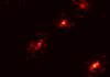 Descubren una rara Cruz de Einstein que revela materia oscura en el universo primitivo