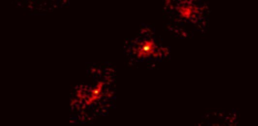 Descubren una rara Cruz de Einstein que revela materia oscura en el universo primitivo