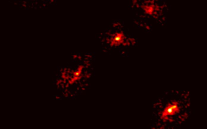 Descubren una rara Cruz de Einstein que revela materia oscura en el universo primitivo
