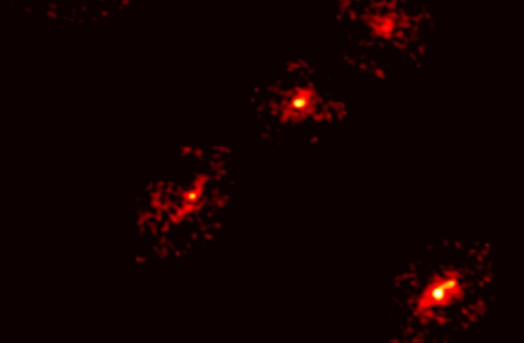 Descubren una rara Cruz de Einstein que revela materia oscura en el universo primitivo
