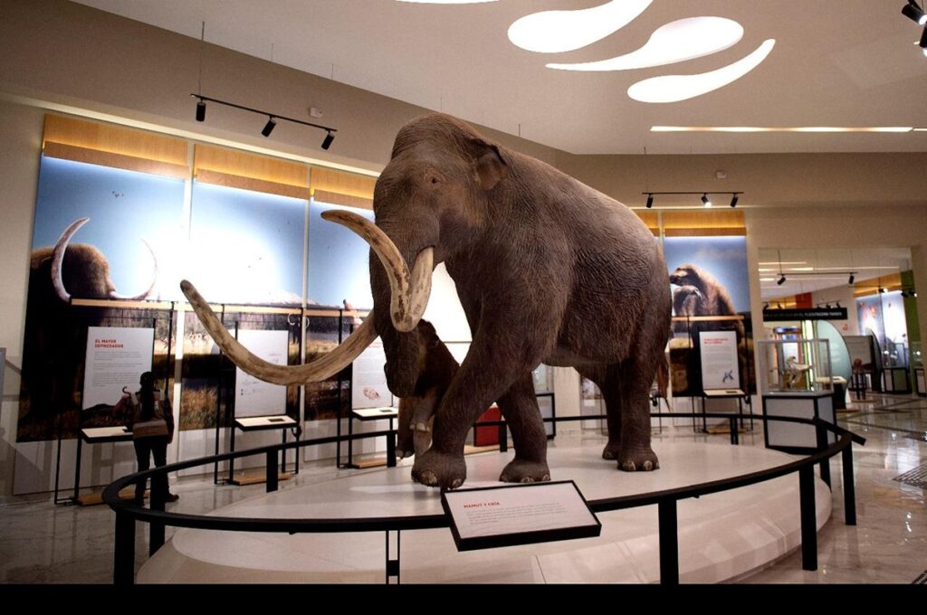 El mamut colombino en México revela un linaje único según estudio paleogenómico