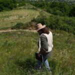 Hallazgos en colinas rumanas reescriben la historia de la Edad de Hierro en Europa