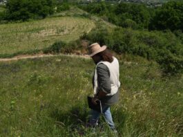 Hallazgos en colinas rumanas reescriben la historia de la Edad de Hierro en Europa