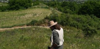 Hallazgos en colinas rumanas reescriben la historia de la Edad de Hierro en Europa