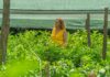 Del bolígrafo a los tomates la periodista que convirtió su finca en un aula agrícola