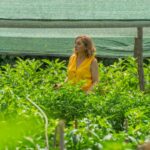 Del bolígrafo a los tomates la periodista que convirtió su finca en un aula agrícola