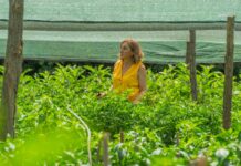 Del bolígrafo a los tomates la periodista que convirtió su finca en un aula agrícola